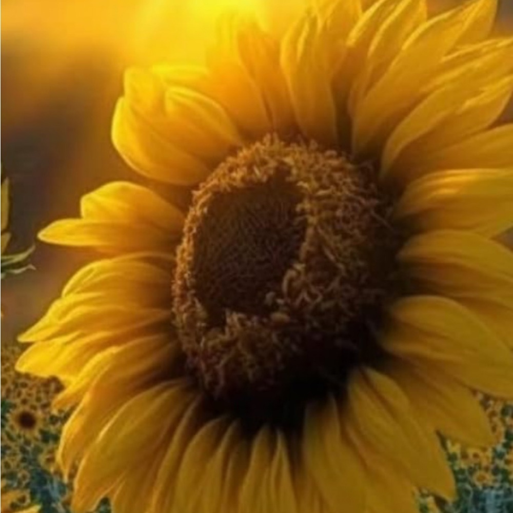 Unlisted Live Show Items